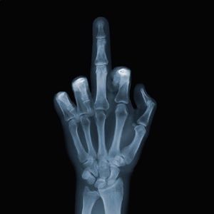 Meet your Posher, Henry